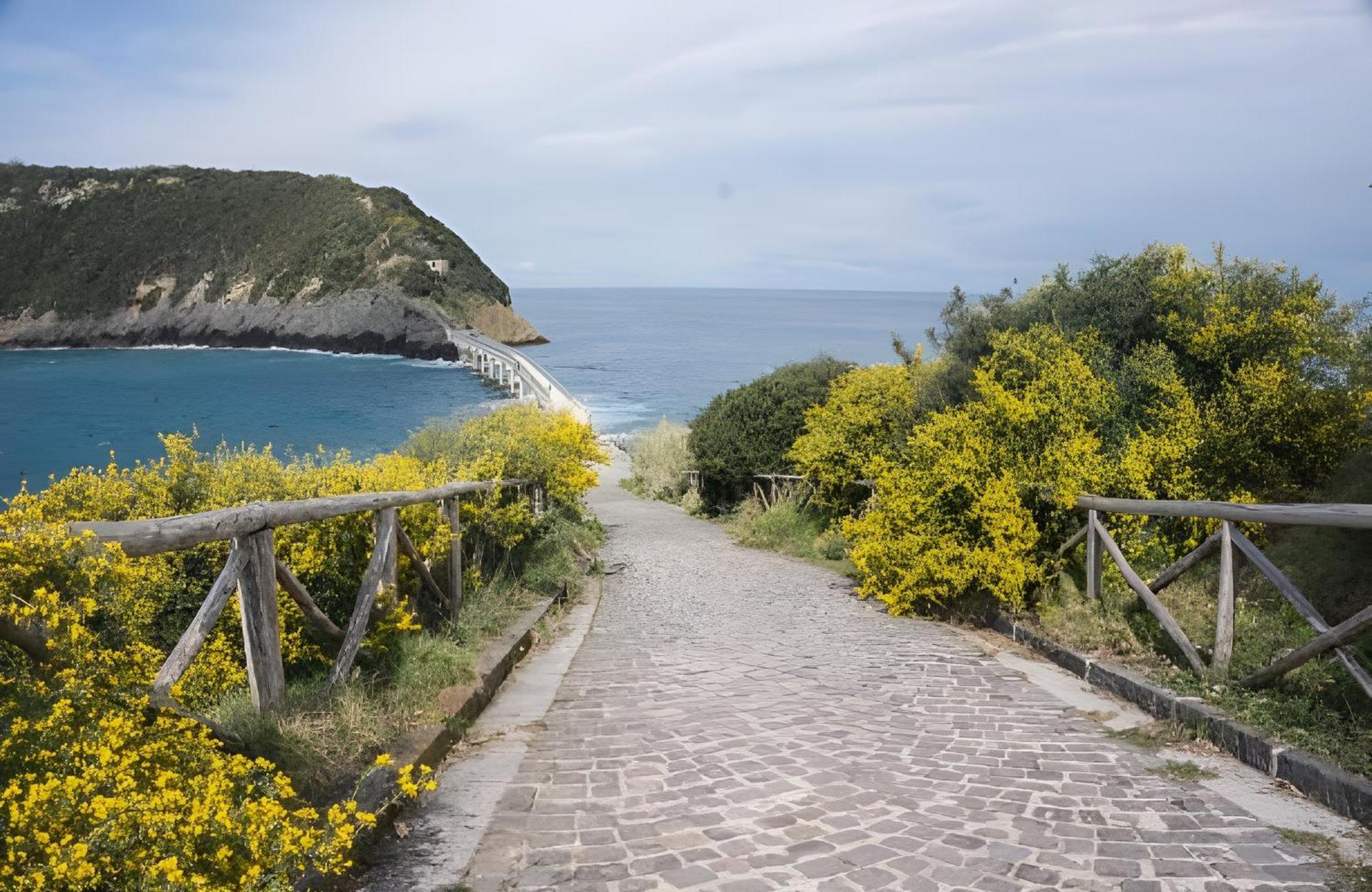 Mezza Torre B&B Procida Extérieur photo